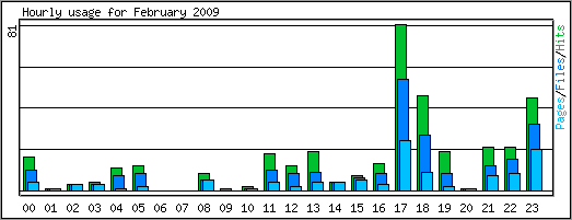 Hourly usage