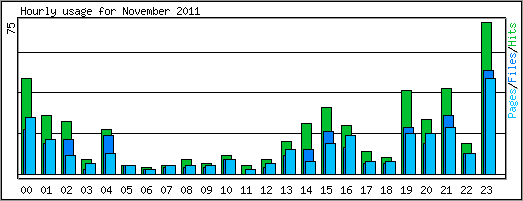 Hourly usage