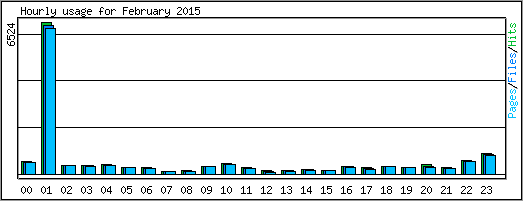 Hourly usage