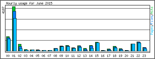 Hourly usage