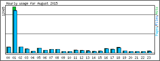 Hourly usage