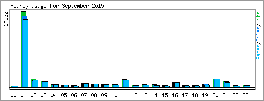 Hourly usage