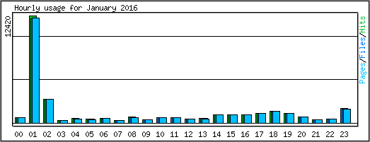 Hourly usage