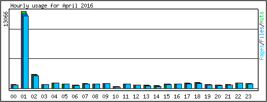 Hourly usage