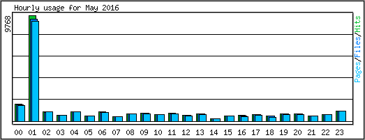 Hourly usage