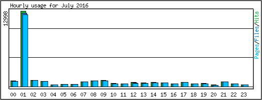 Hourly usage