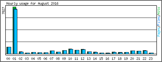 Hourly usage