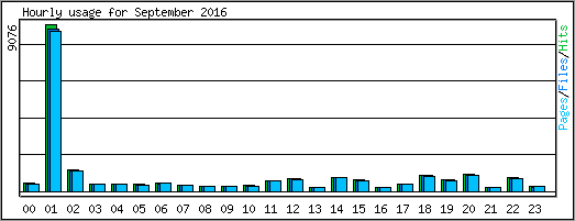 Hourly usage