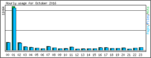 Hourly usage