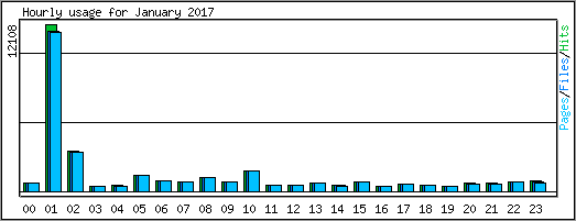 Hourly usage