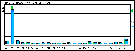 Hourly usage