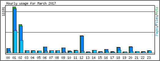 Hourly usage