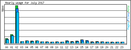 Hourly usage