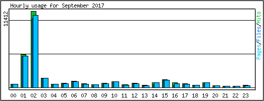 Hourly usage