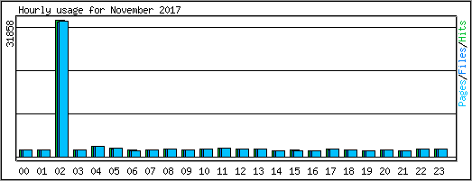 Hourly usage