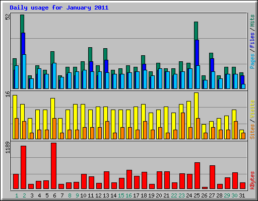 Daily usage for January 2011