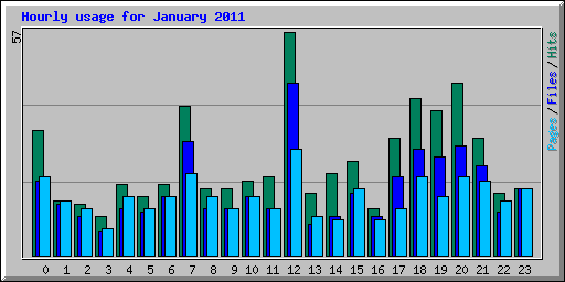 Hourly usage for January 2011